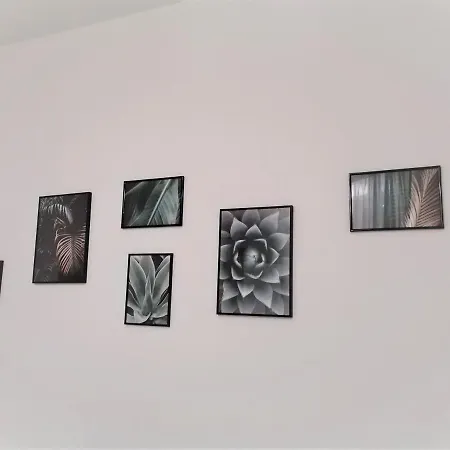 Tree Modern Гостьовий будинок 3*