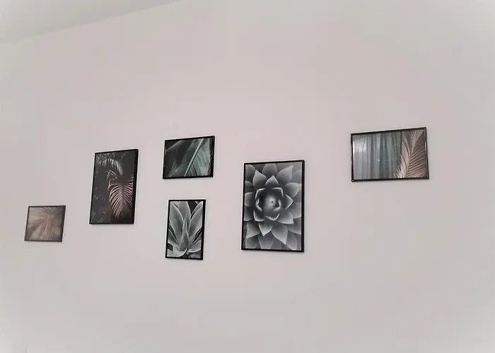 Tree Modern 게스트하우스 3*